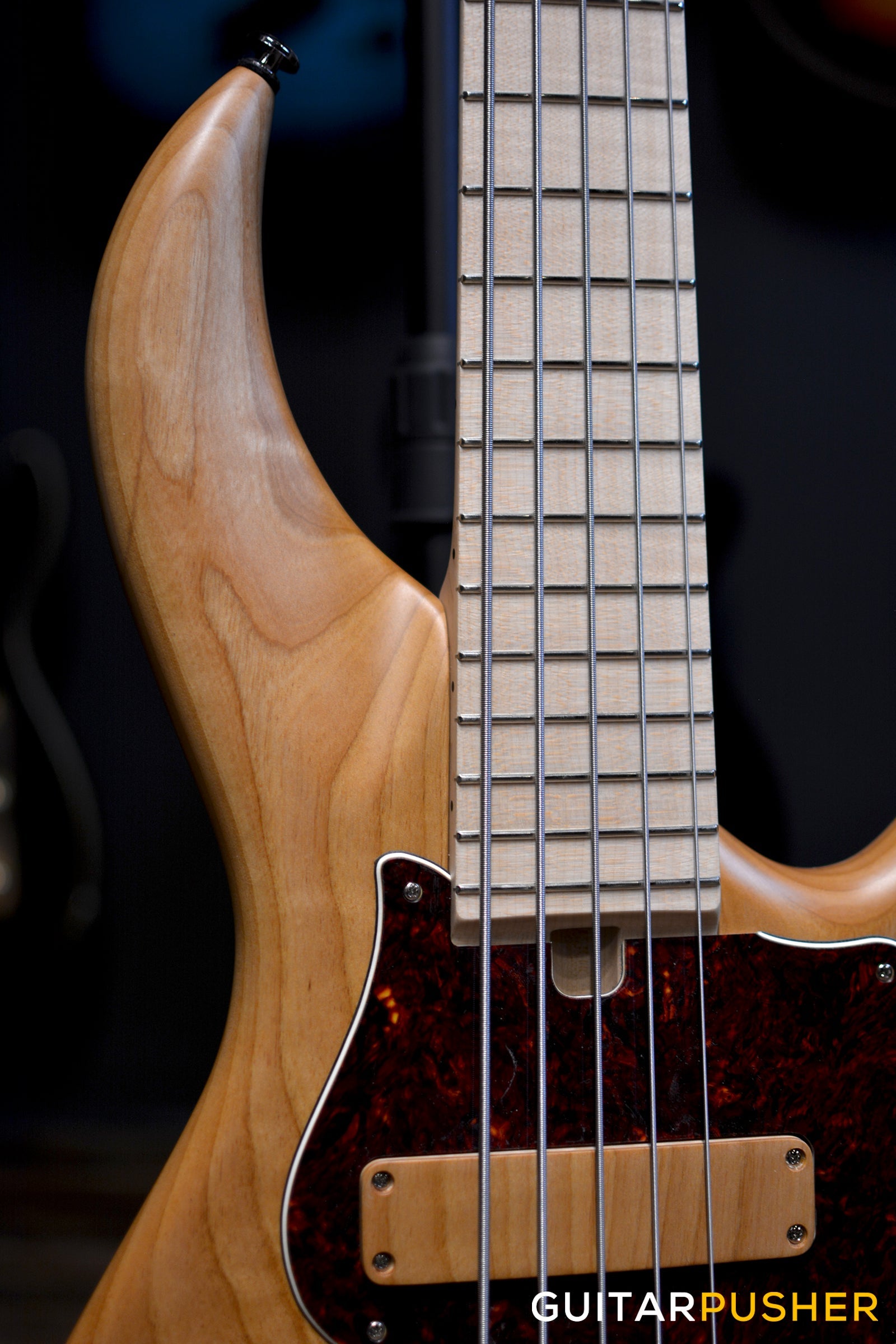 F BASS BN5 5-String Bass (Natural Hand-Rubbed Oil) - Alder Body, Maple Fingerboard