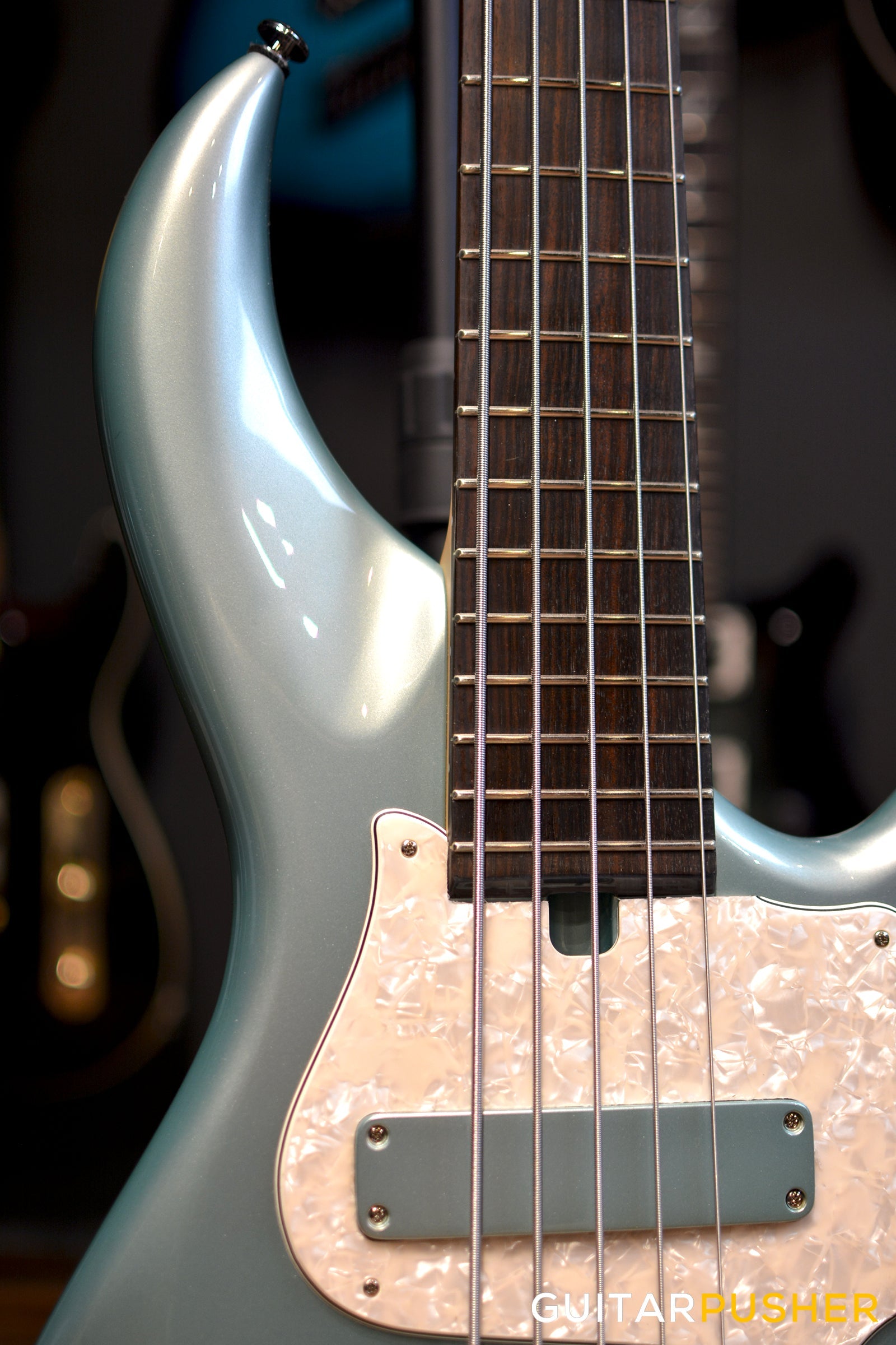 F BASS BN5 5-String Bass (Silver Jade Metallic Gloss) - Ash Body, Macassar Ebony Fingerboard